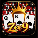 Zee9 Game APK