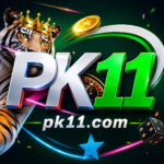 Paki11 Game