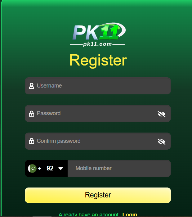 Paki11 Game